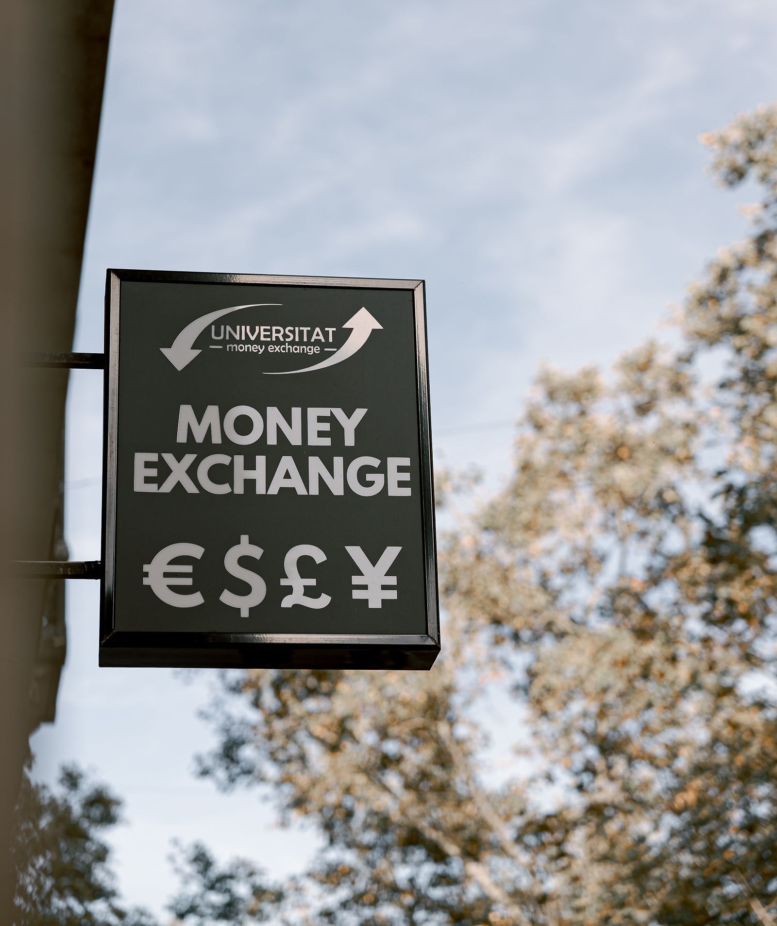 Mostrador Universitat