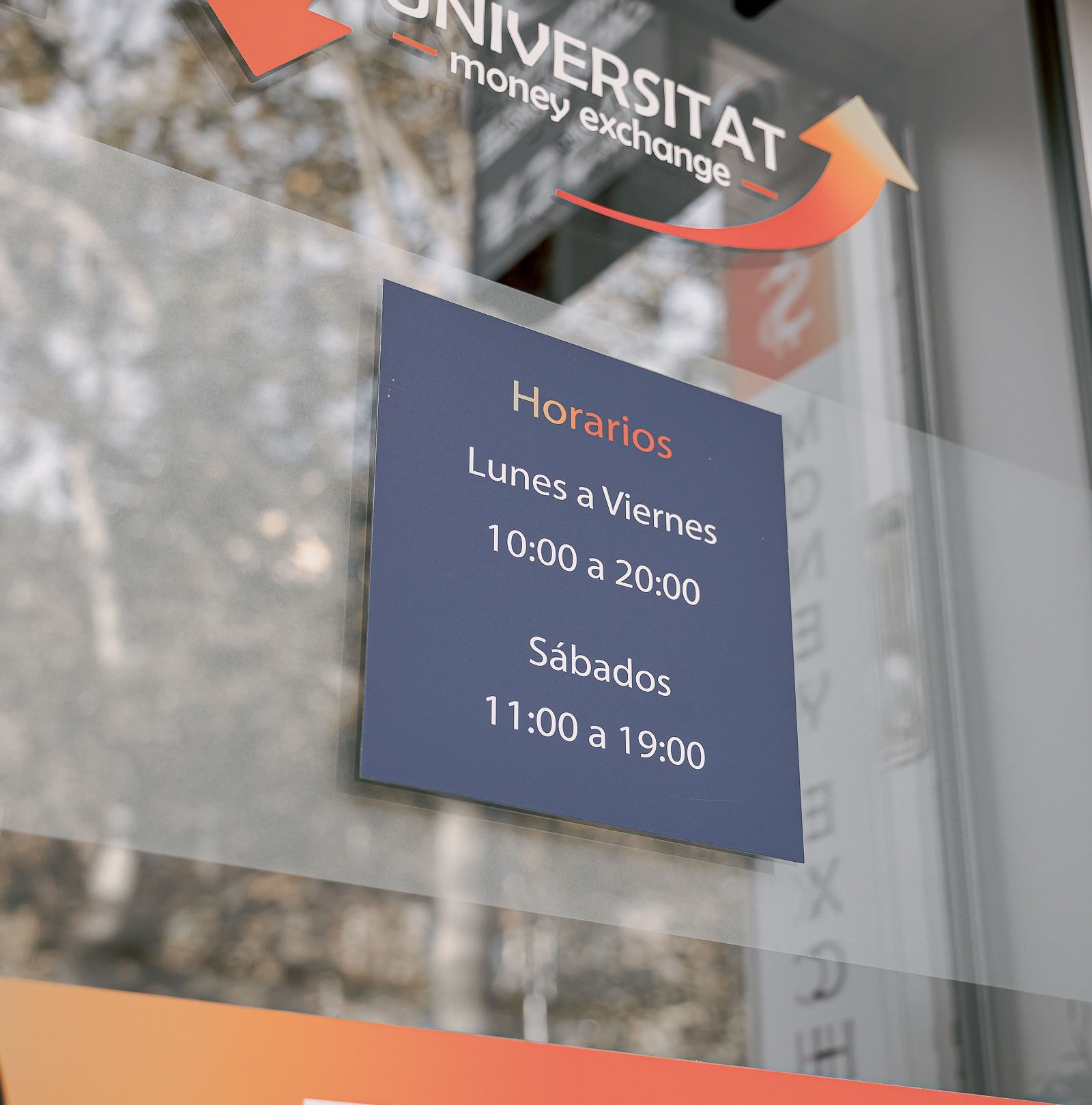 Interior tienda Universitat